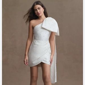 BRAND NEW Sachin & Babi Pippa Dress